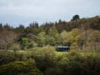 Shack setting